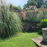 빌라 Malini With Pool, Sauna And Fenced Garden 라빈