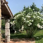 Malini With Pool, Sauna And Fenced Garden 빌라 *