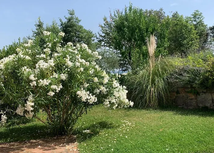 Malini With Pool, Sauna And Fenced Garden