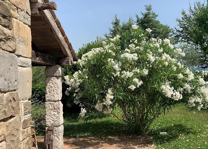 Malini With Pool, Sauna And Fenced Garden Villa *